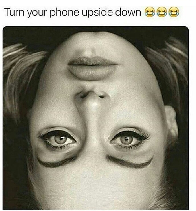 saving_adele's tweet image. OMYGHAWD ! bwahahahhhhaa i can't