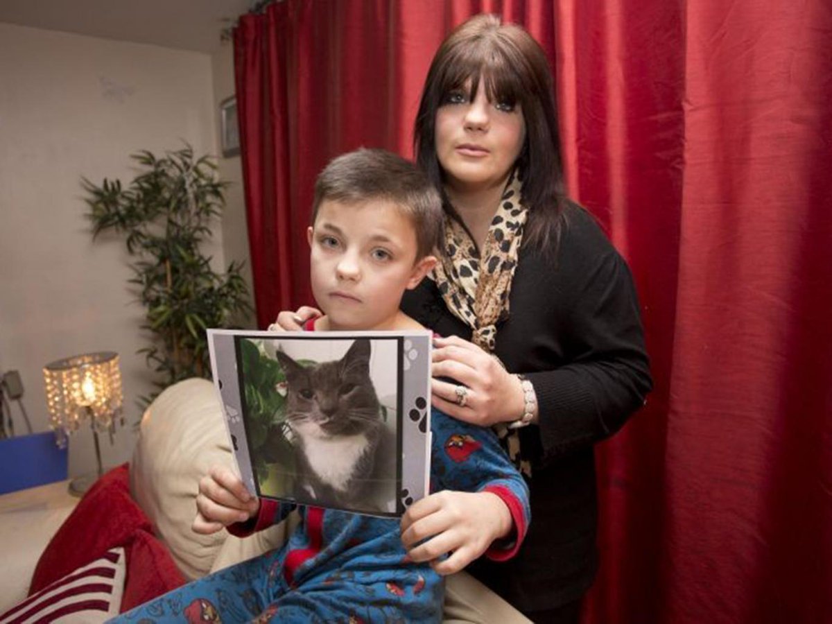 vegan_eats's tweet photo. Is the Croydon Cat Killer really so different from the average meat eater? https://t.co/O60SNXzs9F  #vegan #animals https://t.co/Nc12pUo0AE