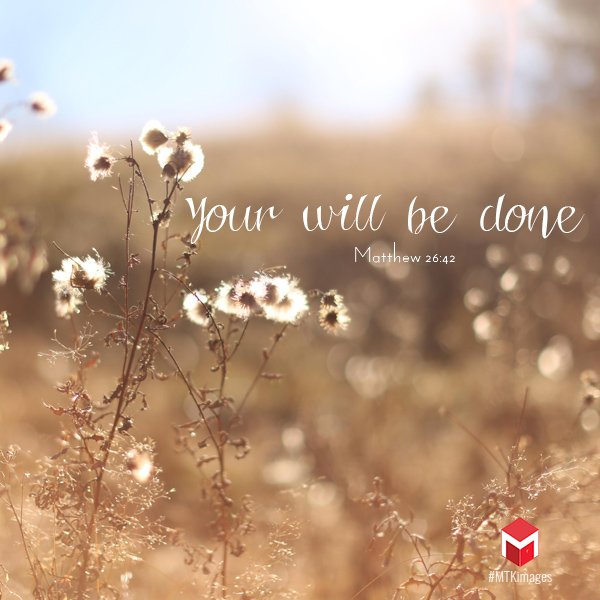 Ministry Toolkit On Twitter: "Dear Lord, Let Your Will Done! #Scripture  #Promise #Truth #Ministrytoolkit #Mtkimages Https://T.co/8J6Phcm6Jb" /  Twitter