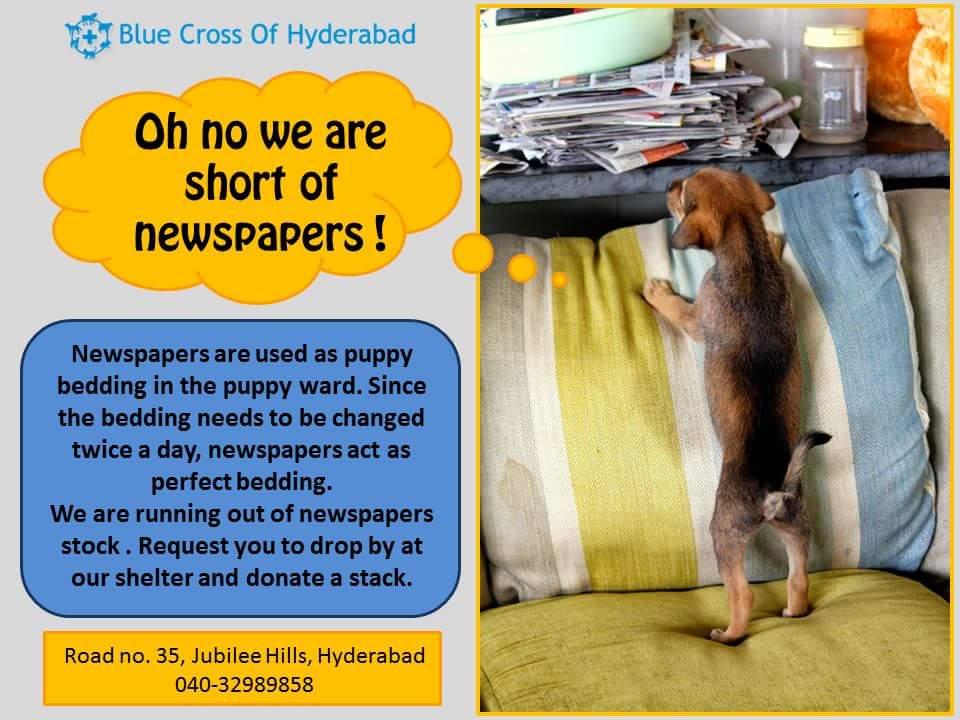 Blue Cross Hyderabad (bluecrosshyd) Twitter
