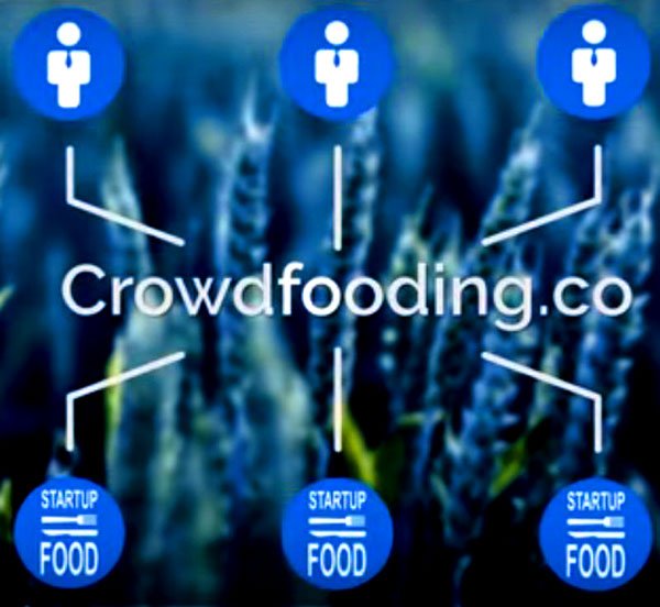 microcapitali's tweet photo. RT startup_italia: #startup Come il #crowdfunding punta sul #food. Ecco quanto. #foodtech #equity #business … https://t.co/GPvb1uvLBv
