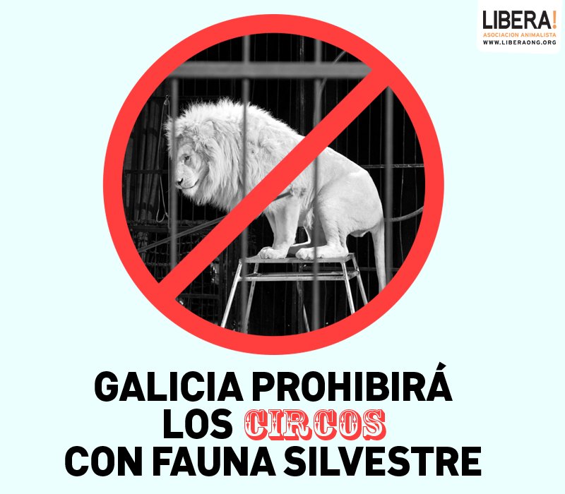 LiberaONG's tweet photo. #Galicia avanza proyecto para prohibir el uso de animales silvestres en circos https://t.co/DfLLruyIB8 https://t.co/QcVRXW2AzI