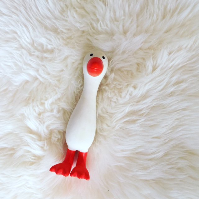 Gertiethegoose's tweet image. Teething problems solved with Gertie the Good Goose. #teethingsolutions #baby #ecofriendly