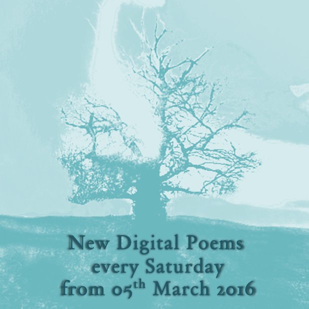 newfiretree's tweet photo. New Digital Poems on the E-Library, every Saturday, starting on 05th March! https://t.co/yUhRFOyADA