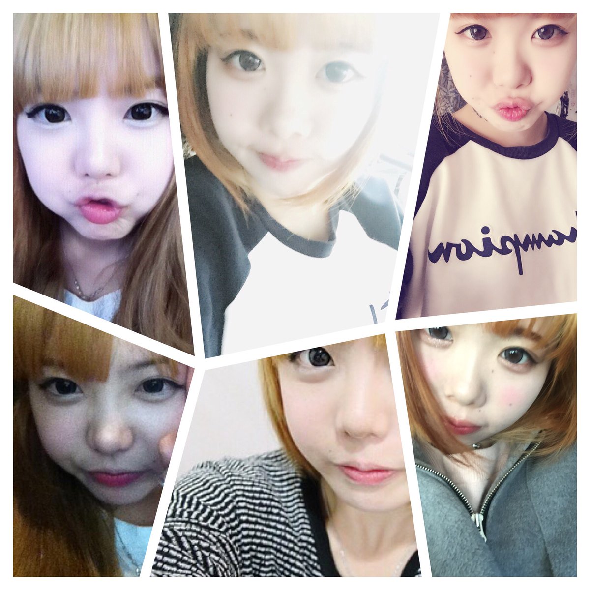 ﾎﾝﾖﾝｷﾞ Twitter Search