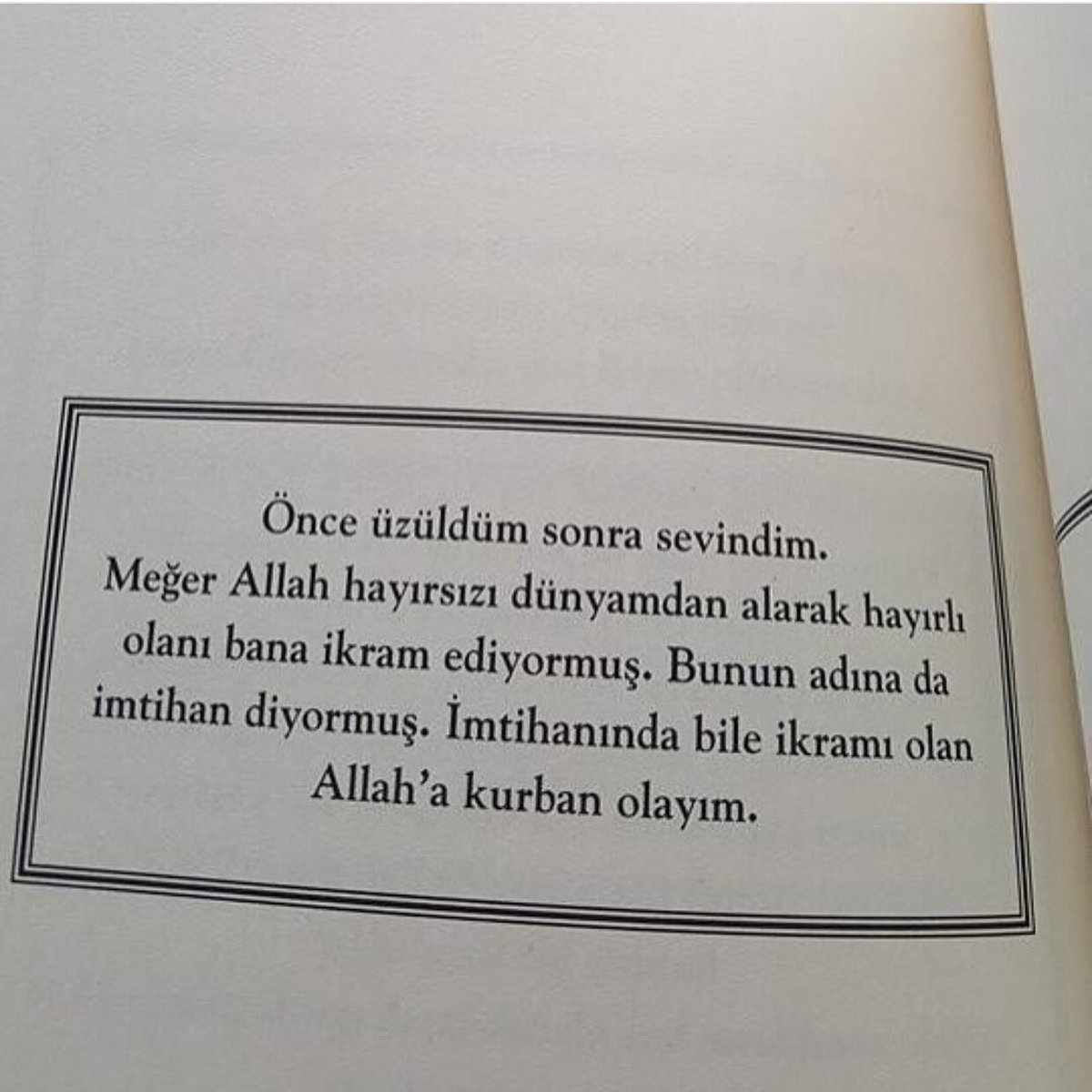 Şebnem (@sebnembrt) on Twitter photo 