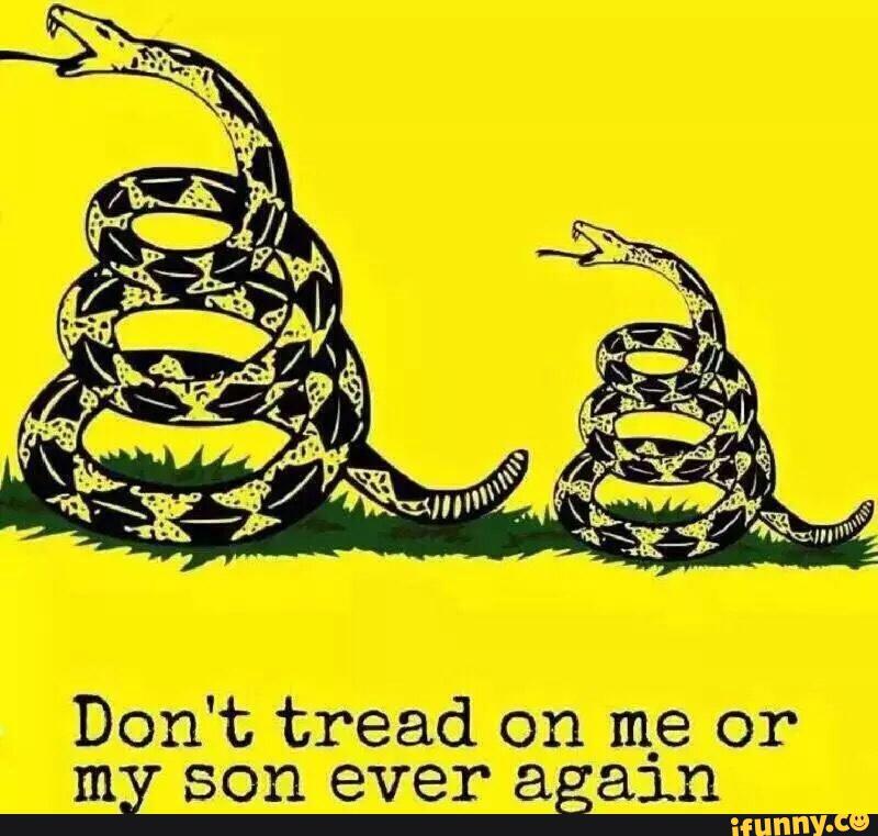 Thedankcouncil's tweet photo. @realDonaldTrump https://t.co/fZEFjEE8lG
