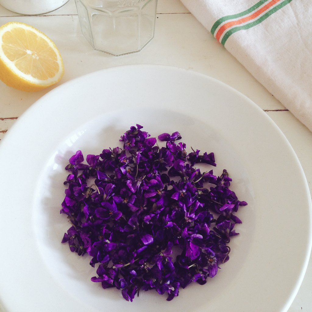 Violettes 庭のニオイスミレでスミレシロップ作りを 今日はレモン水に浸けて1日置いて明日お砂糖加えて煮込んで T Co Ca1htskhej Twitter