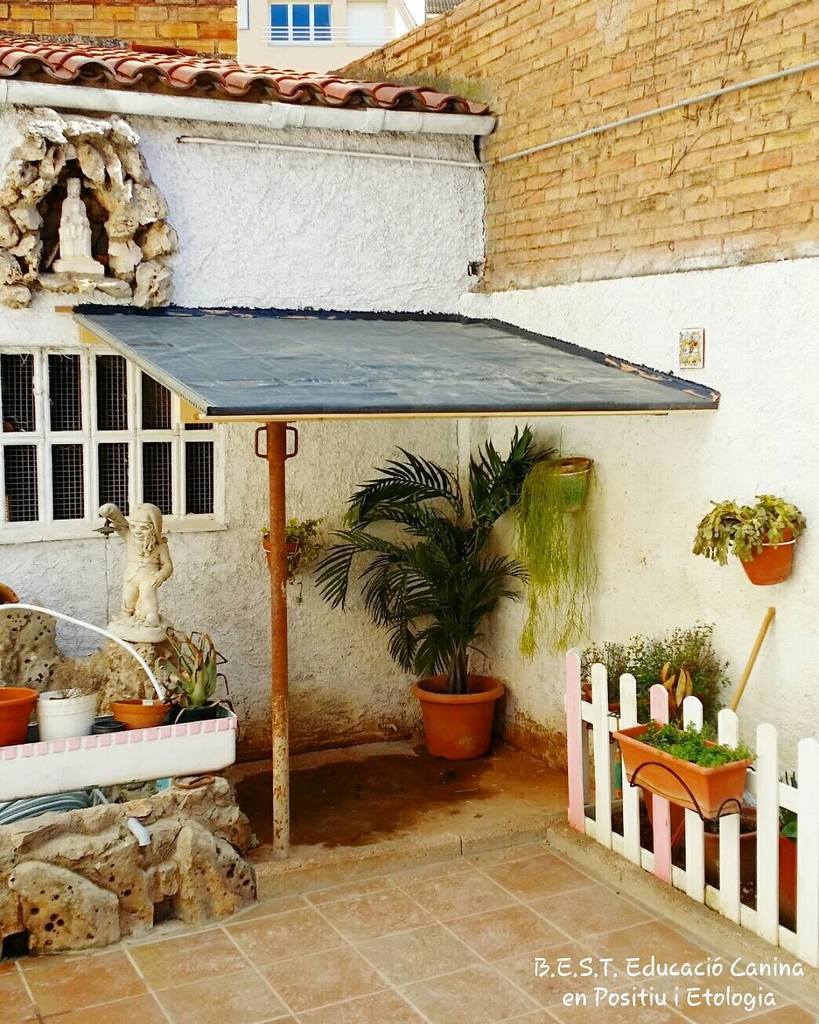 YuridiaVvallejo's tweet image. Feina feta !! Ara només queda embellir l&apos;estructura 🐶🔨🔧🔩💧 Job done !! Now only beautify the structure 🐶🔨🔧🔩💧 #BESTEd…