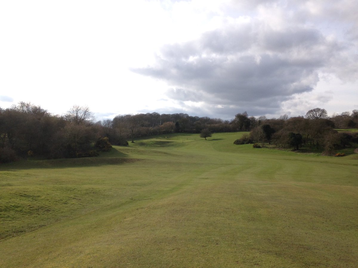 Stewart Fraser tweet media