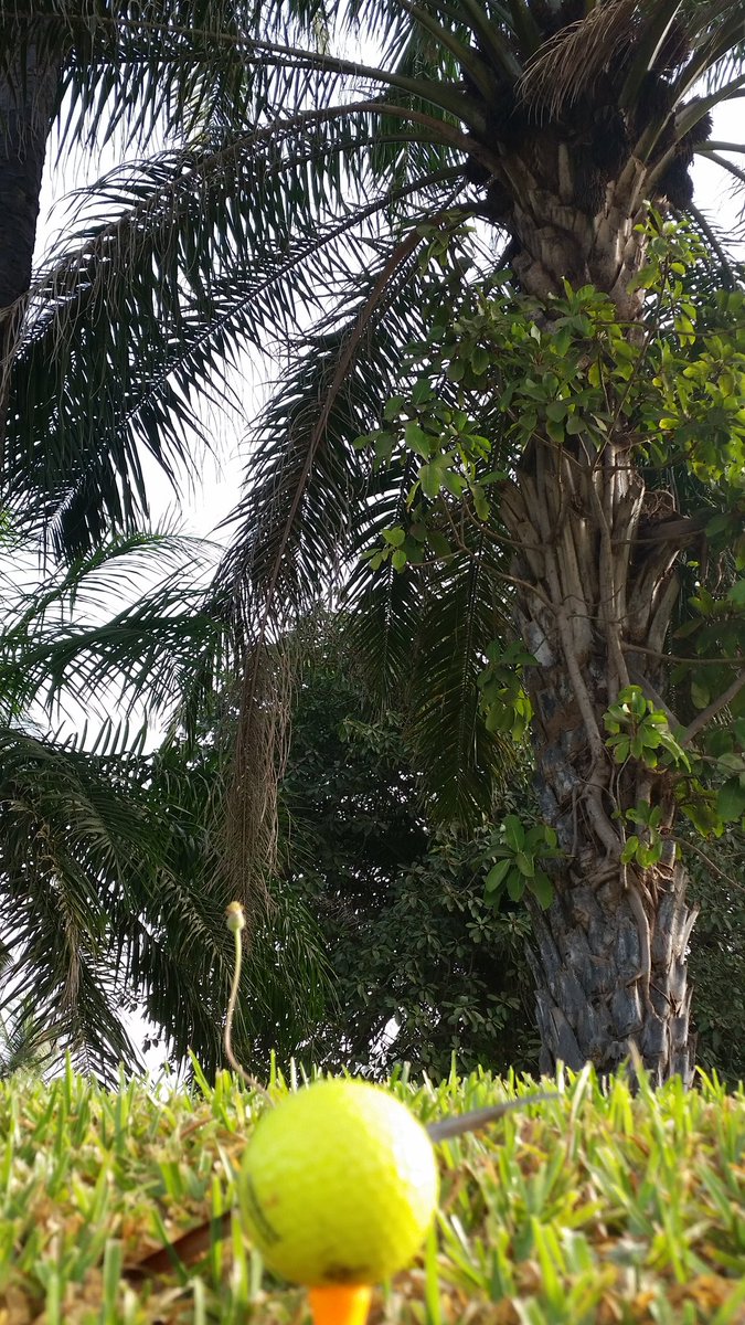 Wake up its a beautiful morning <a href="/bognormanc/">mark cornwell</a>  <a href="/1pcornwell/">Patricia Cornwell</a> #sunshine #greatbook#golf#monkeys #kololibeachclub#sunshine