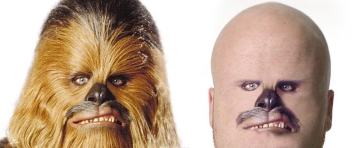 BitterHanSolo's tweet photo. Guys, I found out why Chewie doesn't shave #ThatStacheThough https://t.co/4K46EoOLQy