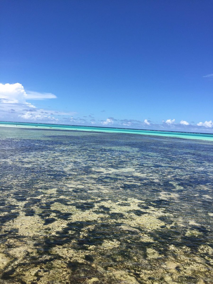 RT Mbarghuthi: Paje Beach #Zanzibar #Tanzania #Africa #travel #go #diving #padi #fun