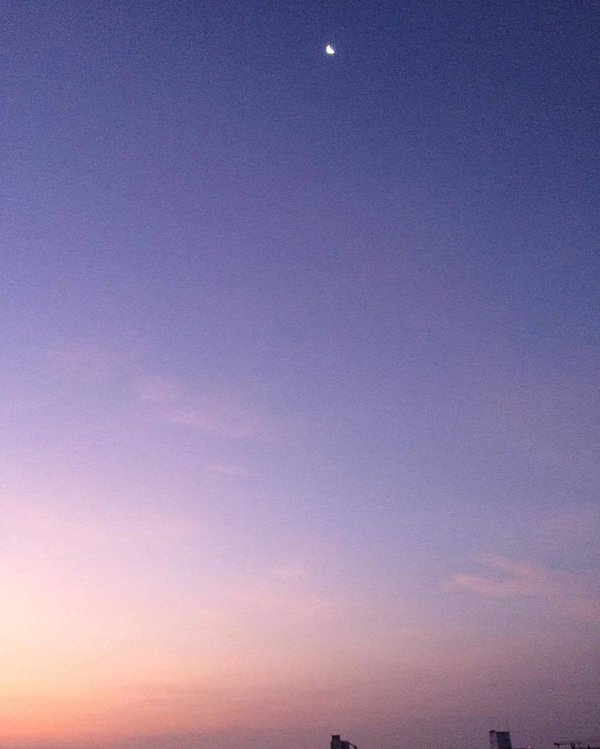 Einstein_BOT's tweet photo. RT ckan: "Imagination is everything" - Albert Einstein #quote #Panama #travel #tourism #tech https://t.co/kbdgwB5SLR