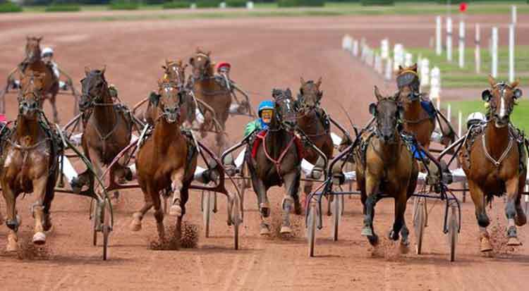 FinanceTurf tweet picture