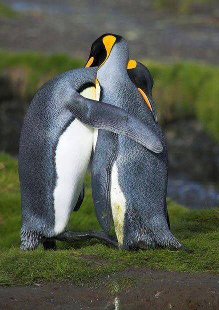 فك السحر جلب  محبة تيسير الامور فتح النصيب العقم ومعالجة حالات النفسية  للتواصل 00905393844220