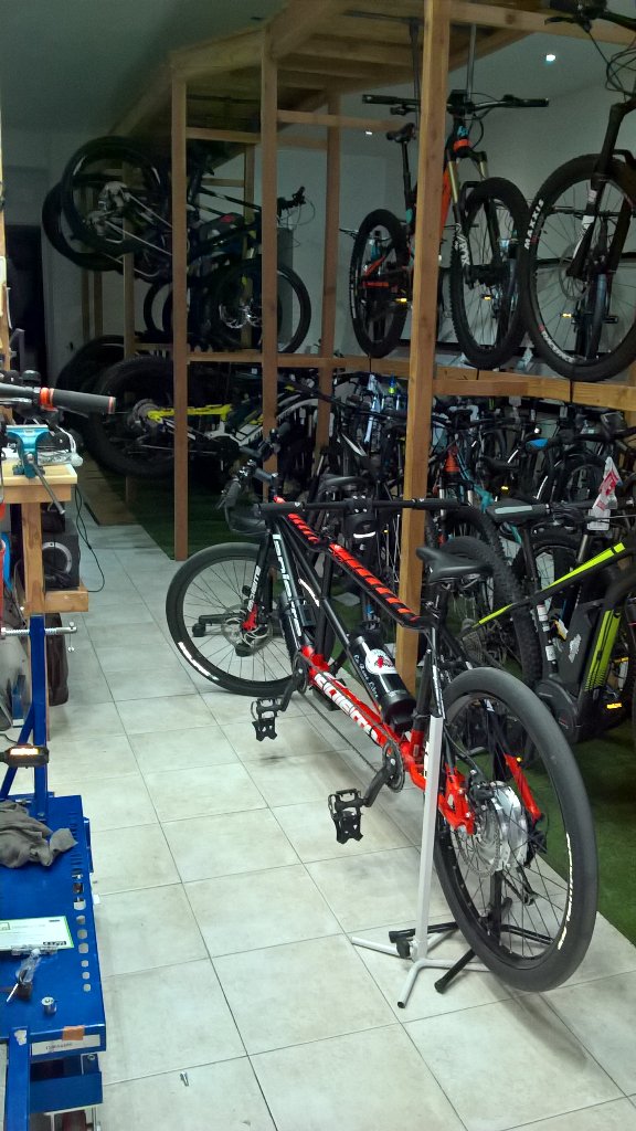 ANICES HANDISPORTS tweet media