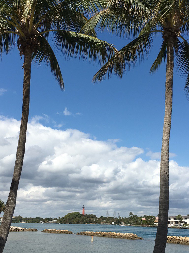 geekgurl64's tweet photo. @TobyKeithMusic Why is it when I'm in southern Florida the song #rumisthereason gets stuck in my head? 🌴 https://t.co/43ViiBEqXa