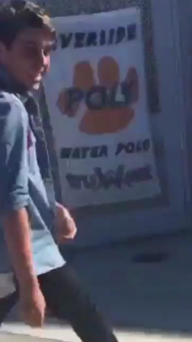 Polo Playa tweet media