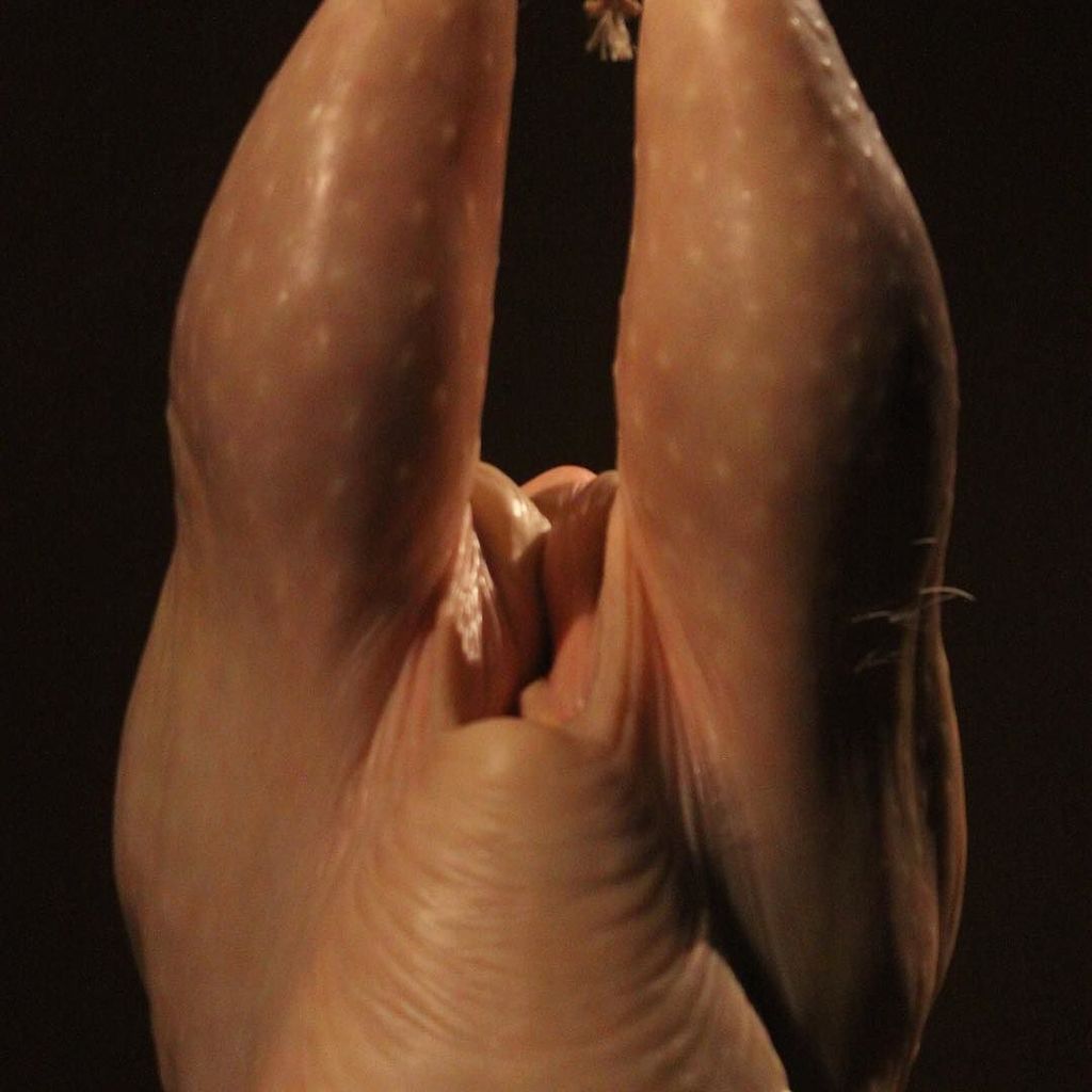 MueckRon's tweet photo. #oldbutgold #ronmueck #thightgap #chickenlegs #MueckRon https://t.co/Gq0CNultMk