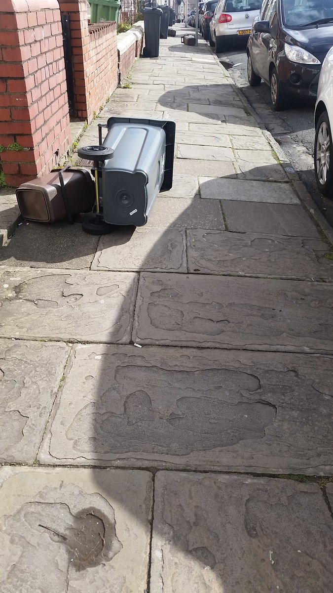 imyourniece's tweet photo. The real victims of Cardiff storms. #Welshproblems #wheninWales #windissues #therealproblem https://t.co/5NaJgb3PfG