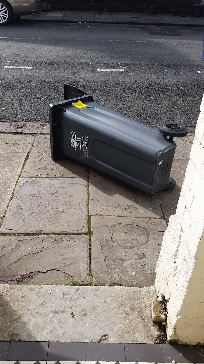 imyourniece's tweet photo. The real victims of Cardiff storms. #Welshproblems #wheninWales #windissues #therealproblem https://t.co/5NaJgb3PfG