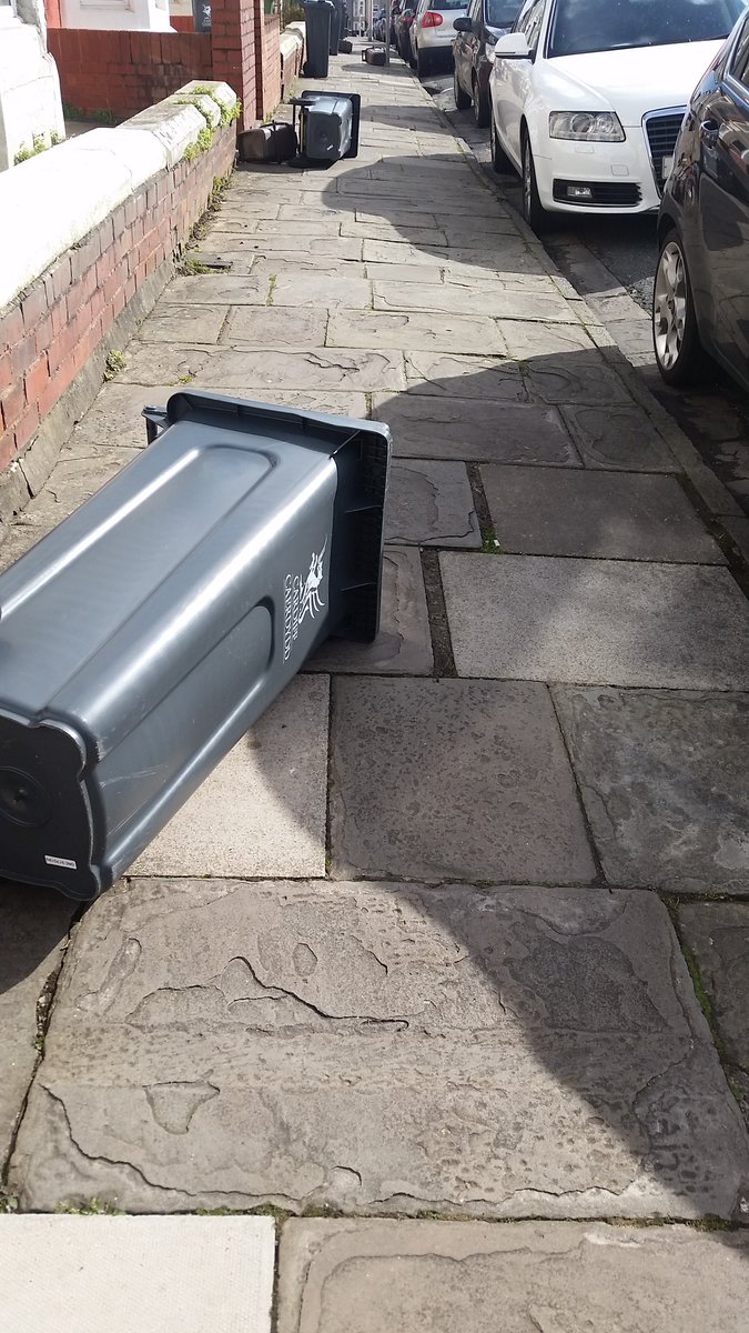 imyourniece's tweet photo. The real victims of Cardiff storms. #Welshproblems #wheninWales #windissues #therealproblem https://t.co/5NaJgb3PfG