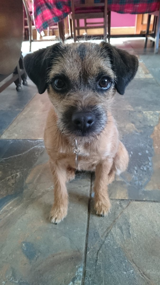 BonnieBooBT's tweet photo. @stockton_rolo @MrSebBT @Taz_BT All tidy again. Happily I'm not squishy in the middle! https://t.co/uJ0j6pcv8i