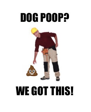 SnowAndMowNL's tweet photo. Have a dog? Need to get rid of what the snow left behind? Don't worry call 325 7669! #Dog #NLWeather #Newfoundland https://t.co/wSeZOnZPIM