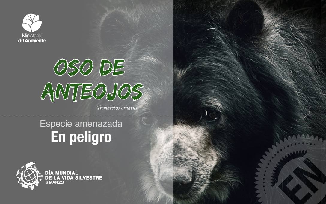 #Ecuador, un paraíso natural, trabajemos por conservar y proteger su biodiversidad #DiaMundialDeLaVidaSilvestre