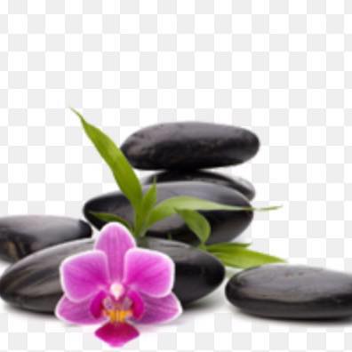 LocalLeisur tweet picture