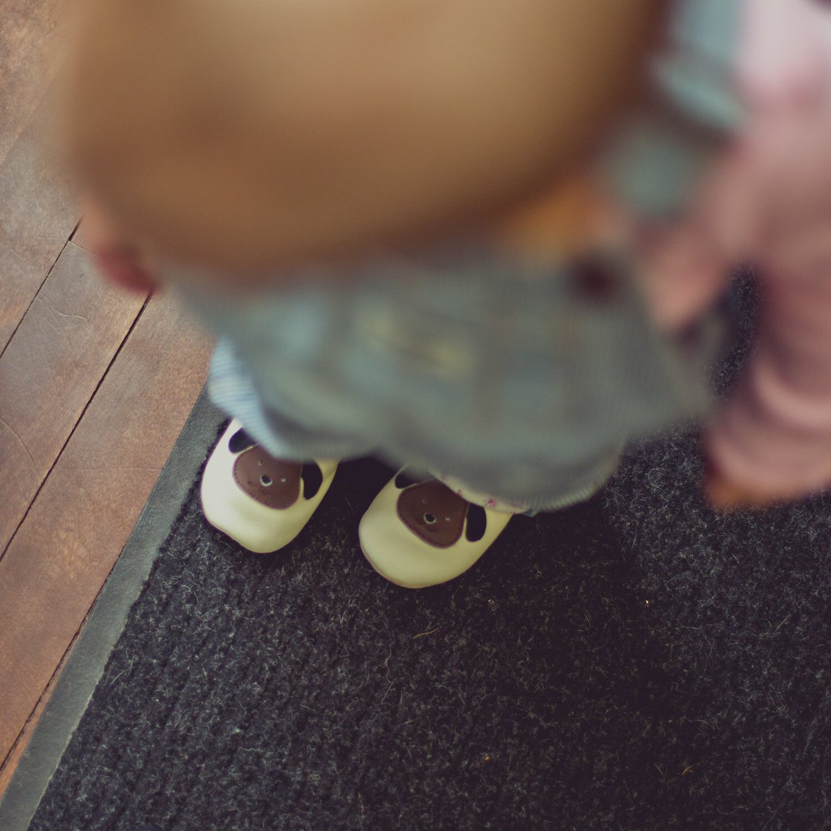 _loveeverafter's tweet photo. Sneak peek from the family shoot last week. Warning: high sweetness content. https://t.co/ZgWvqU5H23