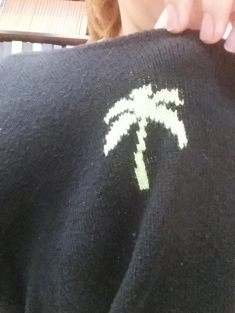 fishindance's tweet photo. THEY ARE PALM TREEEEES https://t.co/C7YuqzWi4P