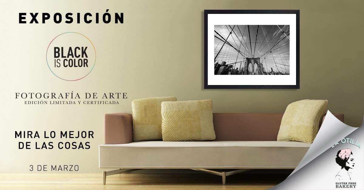 wondercuban's tweet photo. Hoy expongo fotografías de edición limitada en @laotiliamx, Valladolid #76, como parte de colectivo #BlackIsColor 📸 https://t.co/xZ17MLPJZg