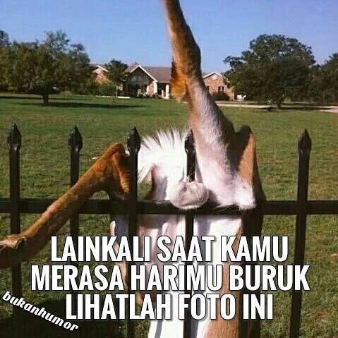 Mungkin membantu 😁