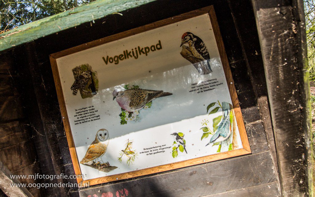 vogelkijkpad Handel (FOTOSERIE) oogopgemertbakel.nl/2016/03/03/189…