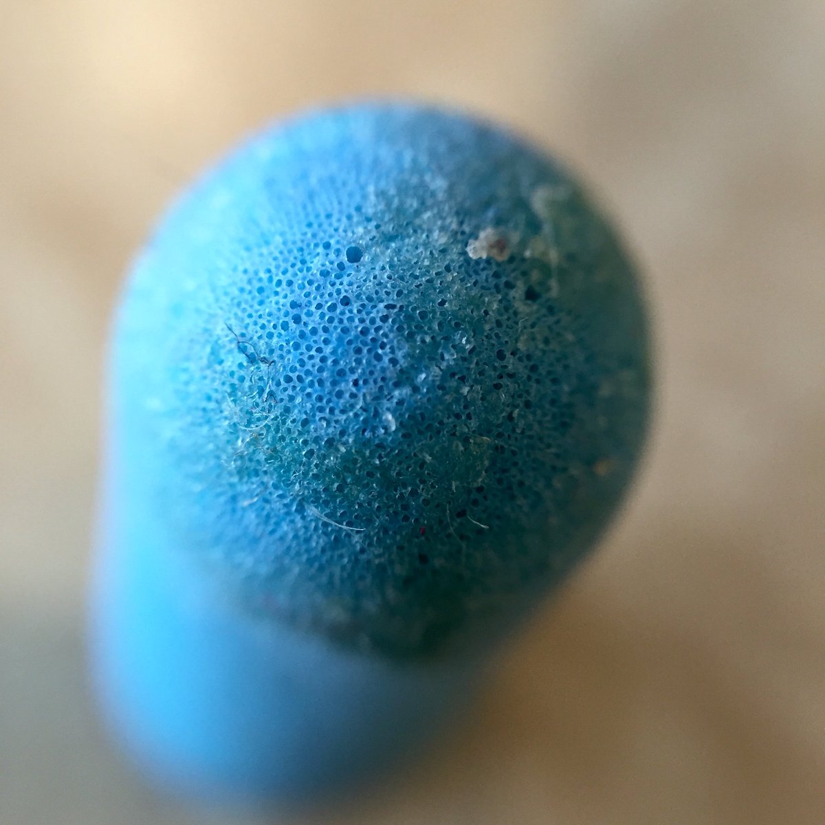 StuffUpClose's tweet photo. Used earplug https://t.co/IMrDHMp5aF