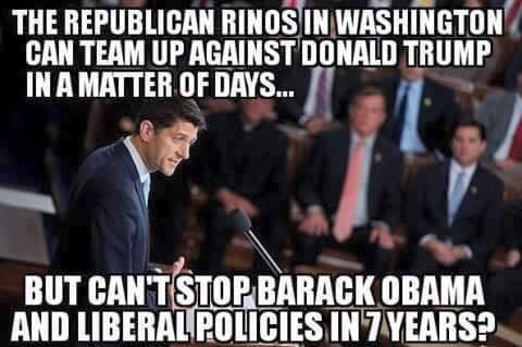 2016trumpian's tweet photo. https://t.co/zuppFlbSmi