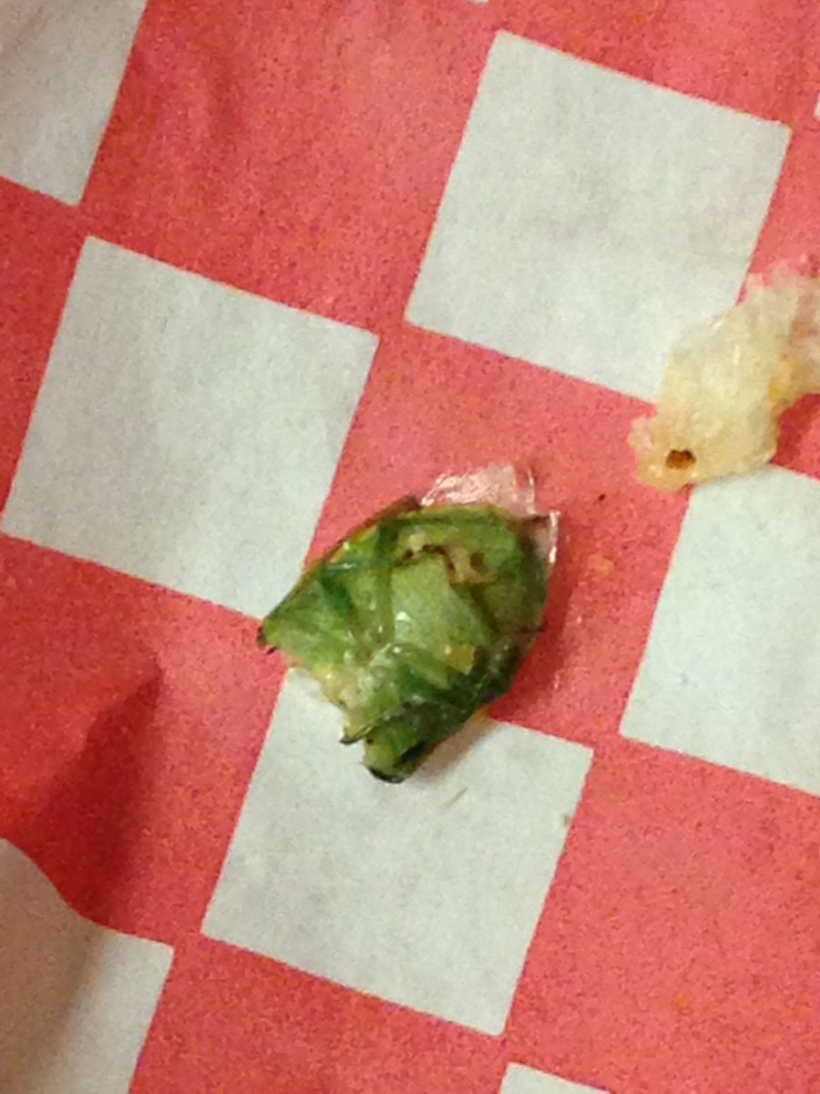 LonDHogan's tweet photo. Bit into a Zebi's sandwich and found a STINK BUG. I BIT IT IN HALF. PERMANENT STINK BUG TASTE IN MY MOUTH. HELP ME. https://t.co/btUIr2nKG5