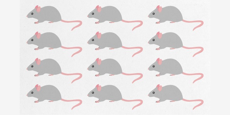 Scientists still fail to record age and sex of lab mice, despite 2010 guidelines ow.ly/Z2j4V