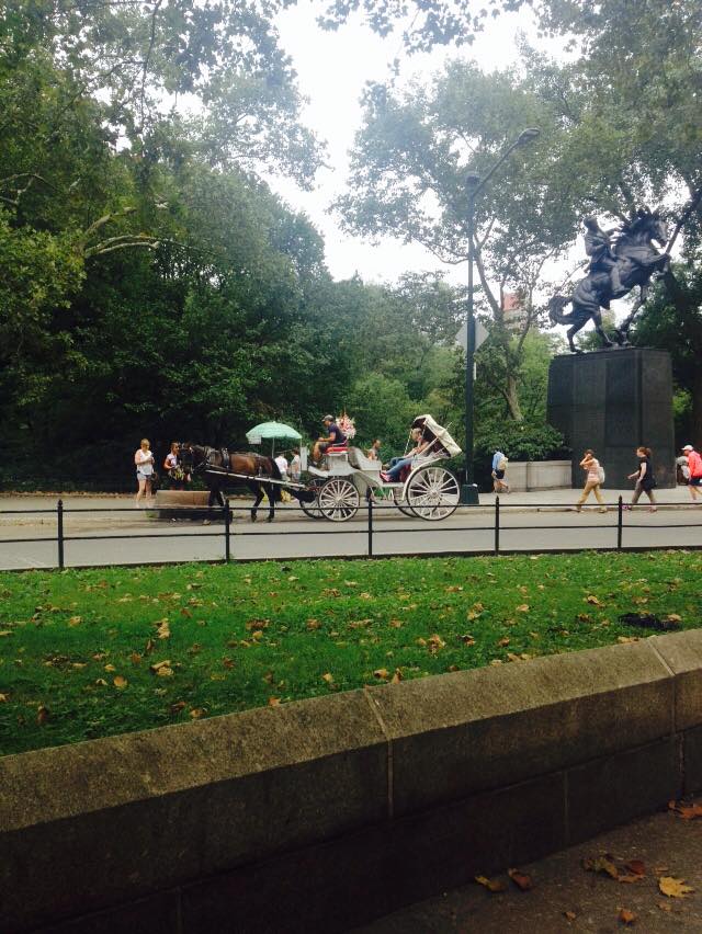 FC_KingShaw's tweet photo. Recognize this place? #yes its #centralpark  Click the link to win a flight to #NYC
 https://t.co/uTiwMmWRqh https://t.co/2IPfdpkX7d