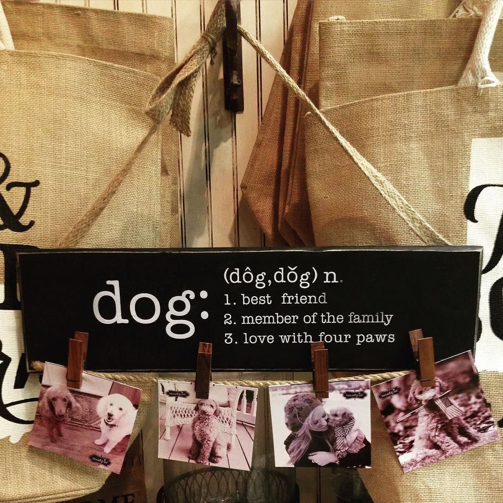 Every 🐶 dog home needs one of these. 😊🐾❤️ #theashtonhouse #ashtonhouse #pets #dogs #dogframe #petframe #ilovemydog …