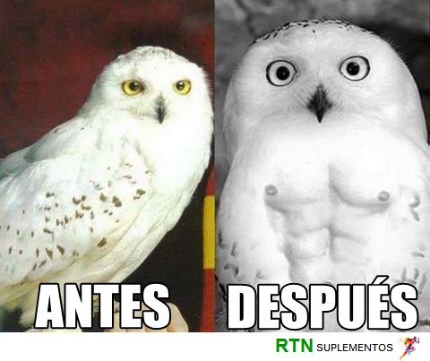 RTN_Suplementos's tweet photo. ¡Buenas tardes! 
Después de la película prometió ponerse en forma Emoticono smile
jaja un poco de humor! https://t.co/7tzt8WQYwN
