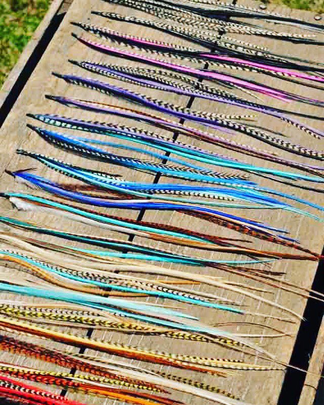 PICTURESQUE814's tweet photo. #FeatherExtensions is what's going on today! What a better way to add #colorful #fun #accessories to your #hair !!! https://t.co/LDmCl6GY5T