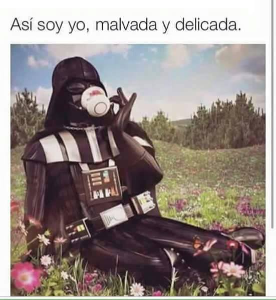 AleNavaZamo's tweet photo. :D https://t.co/dcae28qPZd