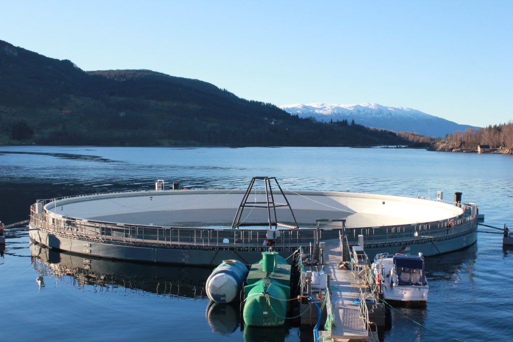 Da er vi på Twitter. Følg oss her også.