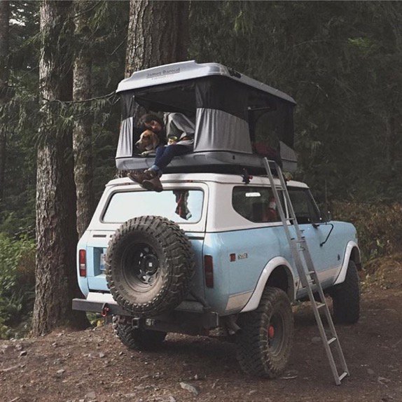 Camping with mans best friend. 📷: <a href="/adventure/">ADVENTURES IN WONDERLAND</a>.ready #rooftoptents #campingwithdogs #tent #scout #whiskeygrade