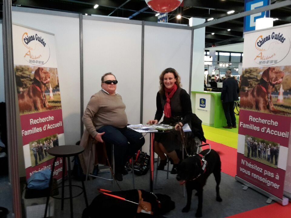 yanlo16's tweet photo. @EcoleAlienor chiens guides de Mérignac .  retrouver nous  au salon @Autonomic_info de Bordeaux le 3 ét 4 mars. https://t.co/EtB9kIzMyb