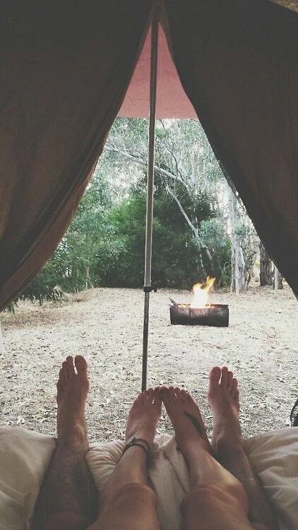 Educational_pic's tweet photo. Camping and chill? https://t.co/TrzmpvPmdO