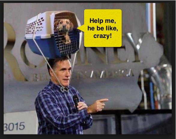 PaulieSilversmi's tweet photo. @misterdish69 #MittRomney #Mitt2016 #mittspeech dog on a car roof, nuff said. Mitt's always been a loser https://t.co/08ESPWhYoR